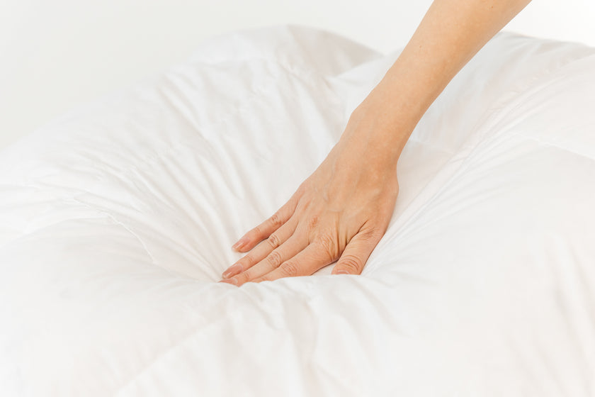 Пухова ковдра Улюблена