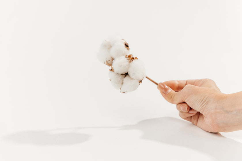 Пухова ковдра Улюблена